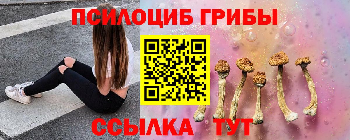 Ульяновск  Галлюциногенные грибы ЛСД  Вход с VPN 